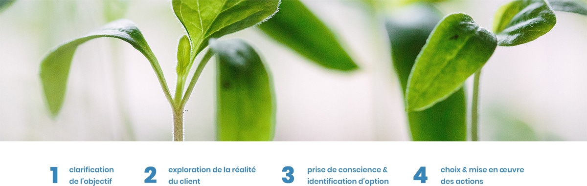 Cabinet de Coaching Paris